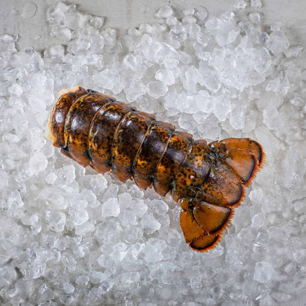 Boston Lobster Tail