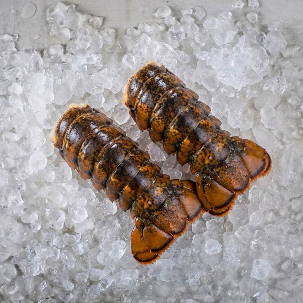 Two Boston lobster tails on a bed of crushed ice