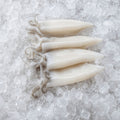 Patagonian Baby Squid