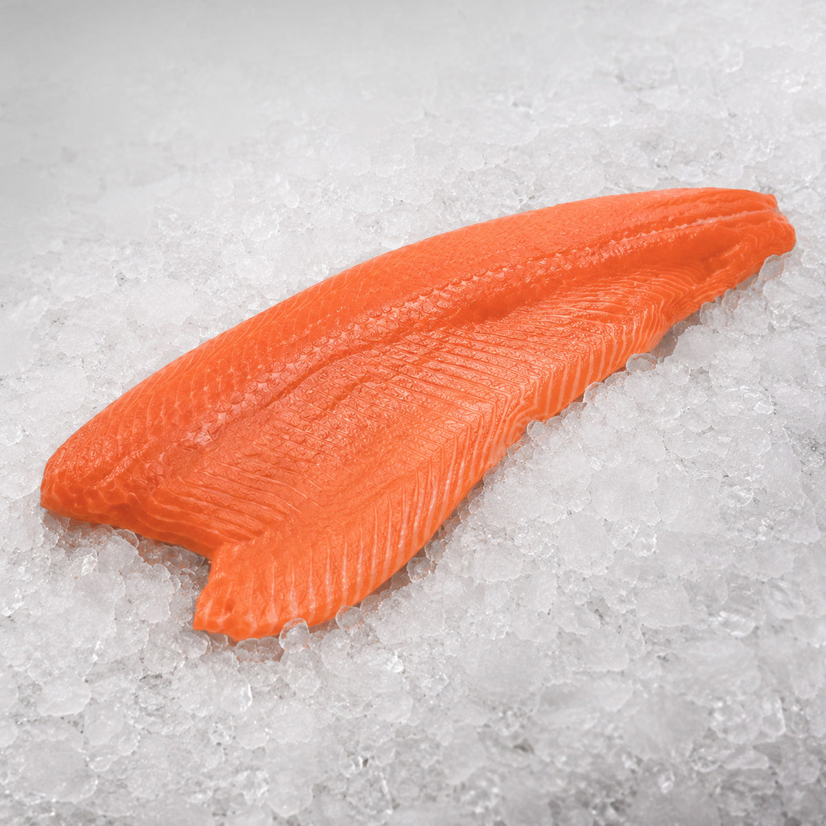 Atlantic King Salmon Fillet