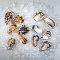 Sakoshi Bay Oysters